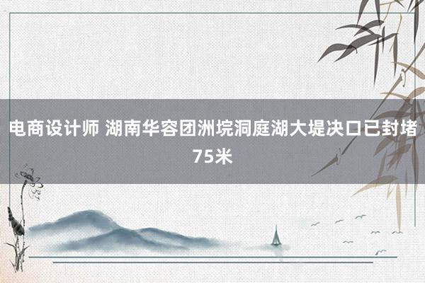 电商设计师 湖南华容团洲垸洞庭湖大堤决口已封堵75米